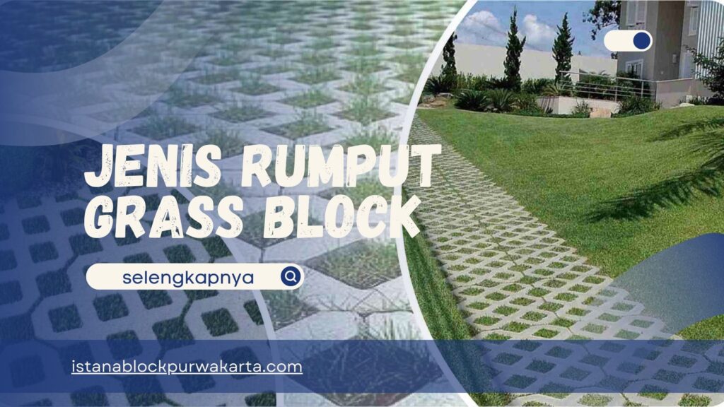 Jenis Rumput Grass Block